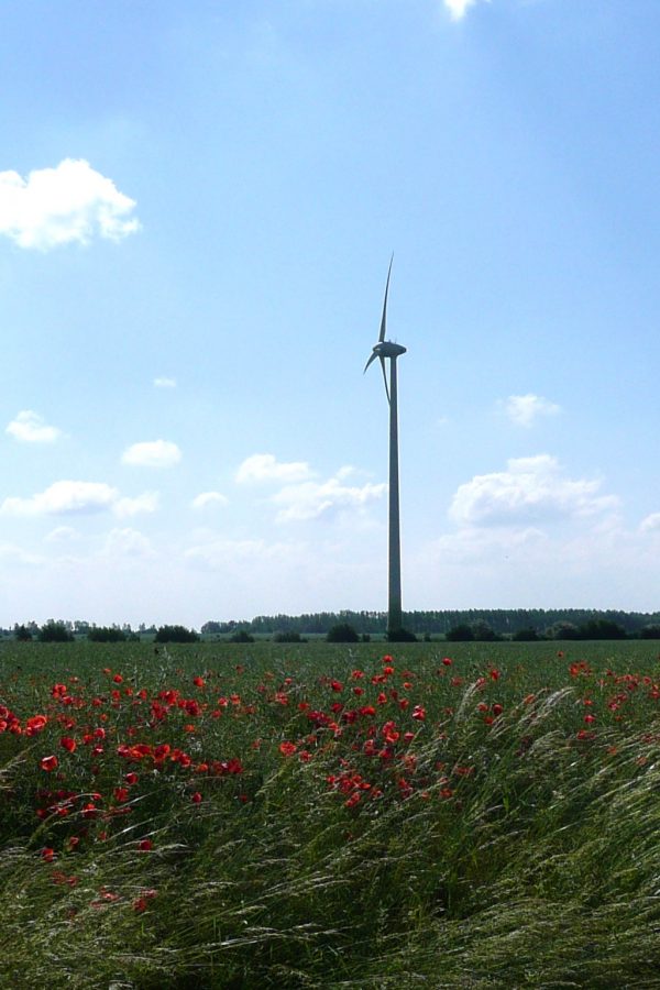 Windpark